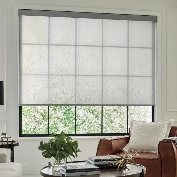 Motorized Shades in Living Room